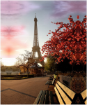 Attractions in Paris - F-053