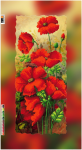  - �� SI-438a