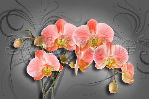 Pink orchids on a gray background with a pattern - F-290
