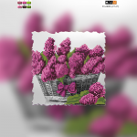  - �� TG-002b