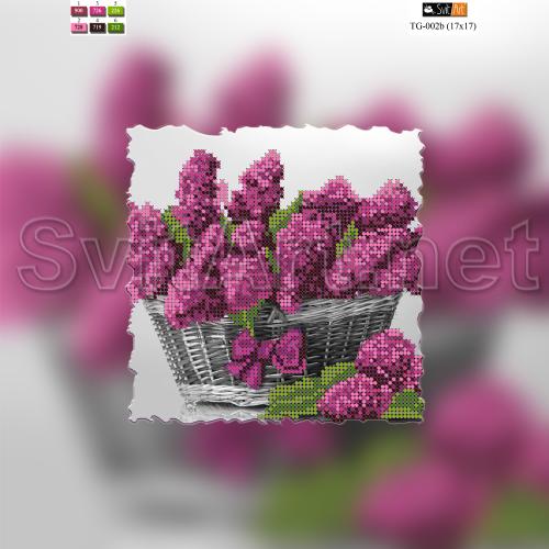 �� TG-002b