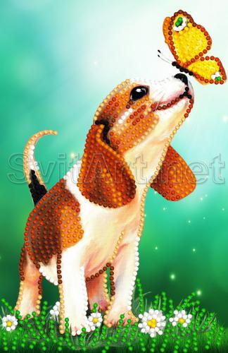 Dog and butterfly - SI-765a
