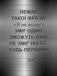  - FV-539