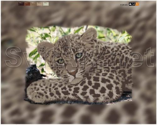 Jaguar closeup - �� F-129 