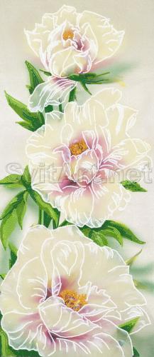 Three beige roses - A-148