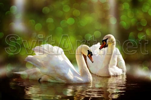 ���� ����� ������� ������ - F-216