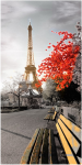 Eiffel Tower in the sun - F-053c