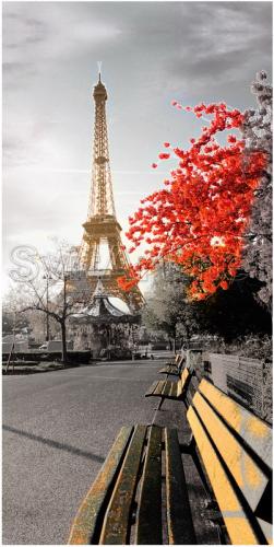 Eiffel Tower in the sun - F-053c