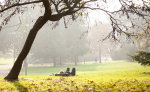 Relax in the autumn park - F-285