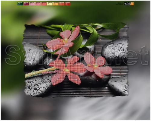 Red orchids on black stones - �� F-088