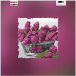  - �� TG-002b(A)