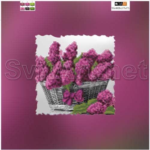 �� TG-002b(A)