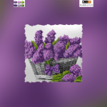  - �� TG-003b (A)