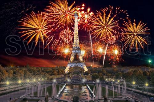 Eiffel Tower and Salute  - F-269