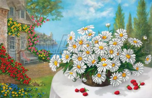 Chamomile in a basket in the yard - SI-722