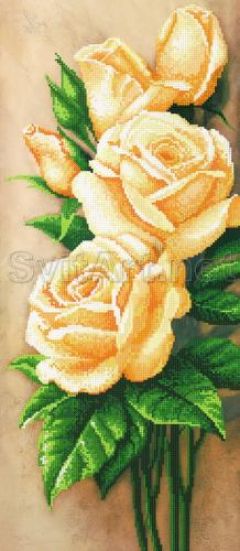Three tea roses - A-111