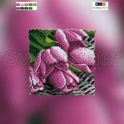 �� TG-002a(A)