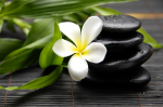 White plumeria and black stones - F-085