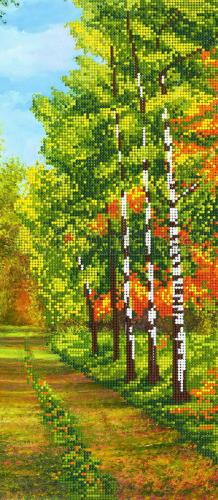 Road to the birch forest - A-142b