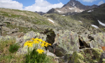 Mountain valley - F-182