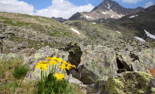 Mountain valley - F-182