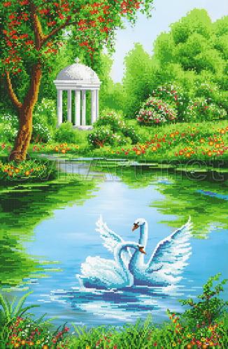 Two swans on a pond - SI-308a