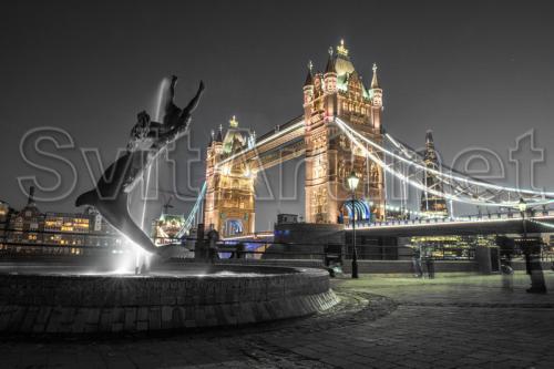 Tower Bridge in gray tones - F-152
