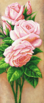 dry up roses - A-112