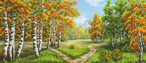 Quiet autumn forest - A-333a