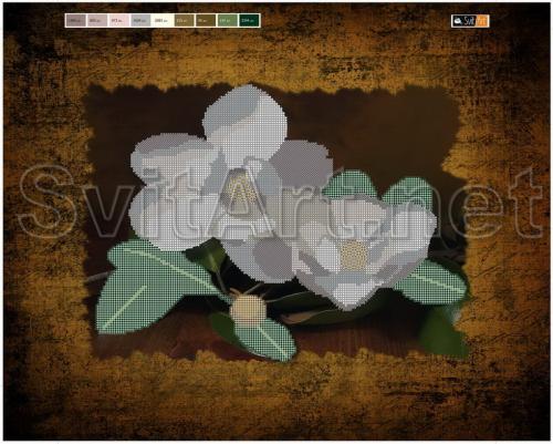 White water lilies - �� F-034