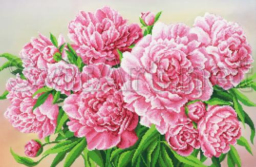 Pink peonies - SI-579