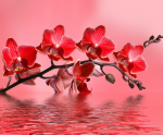 Red peach flowers - F-158
