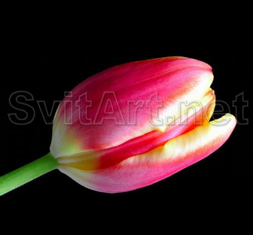 ������� �� ������ ���� - F-109