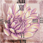  - XB CR-017
