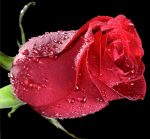 ���� �� ������� �� - F-107