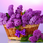 Lilac Basket - F-174