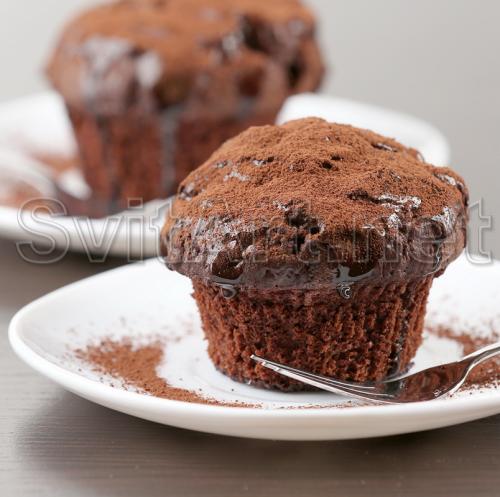 Chocolate muffin - F-248c