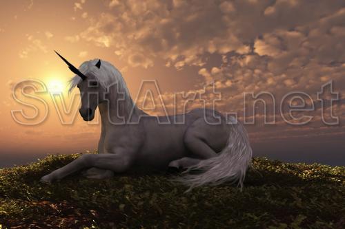 Unicorn on a background sunset - F-024