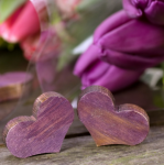 ��� ����� � ���� - F-113