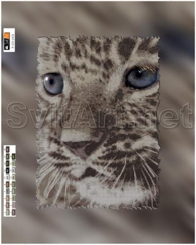 Leopard Kitten - �� F-121