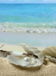 White pearls on the beach - F-120