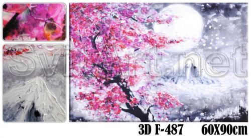 3D F-487