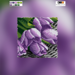  - �� TG-003a (A)