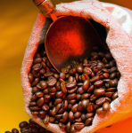 A spatula in a bag of coffee - F-249h