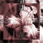  - XB CR-018 