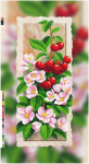  - �� SI-606