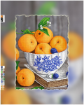  - �� TG-065a