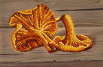 Chanterelles on the table - SI-174a