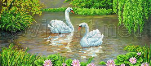Two swans on the lake - A-041