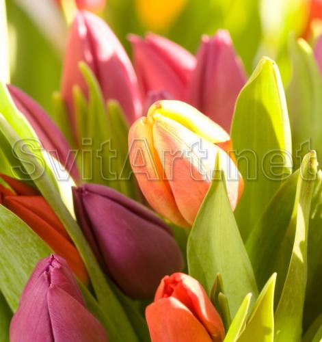 �������� ������ ������ - F-118